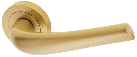 RAFT R2 OSA, ручка дверная, цвет - матовое золото фото купить Сочи