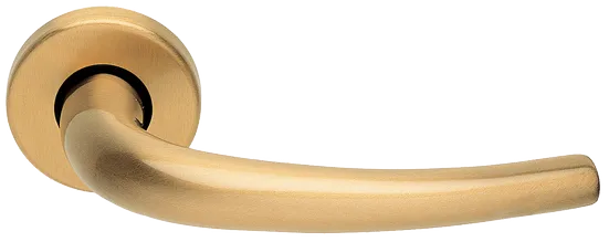 LILLA R3-E OSA, ручка дверная, цвет - матовое золото фото купить Сочи