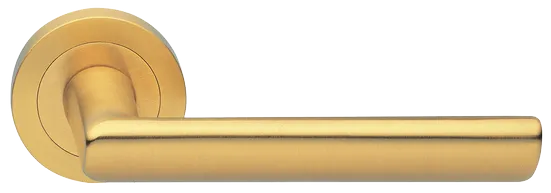STELLA R2 OSA, ручка дверная, цвет - матовое золото фото купить Сочи