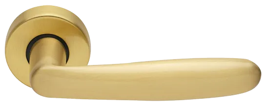 IMOLA R3-E OSA, ручка дверная, цвет - матовое золото фото купить Сочи